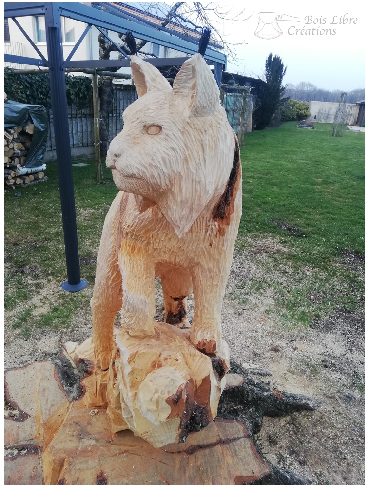Yvan Freiholz Bois Libre Créations Sculpture Lynx (29)