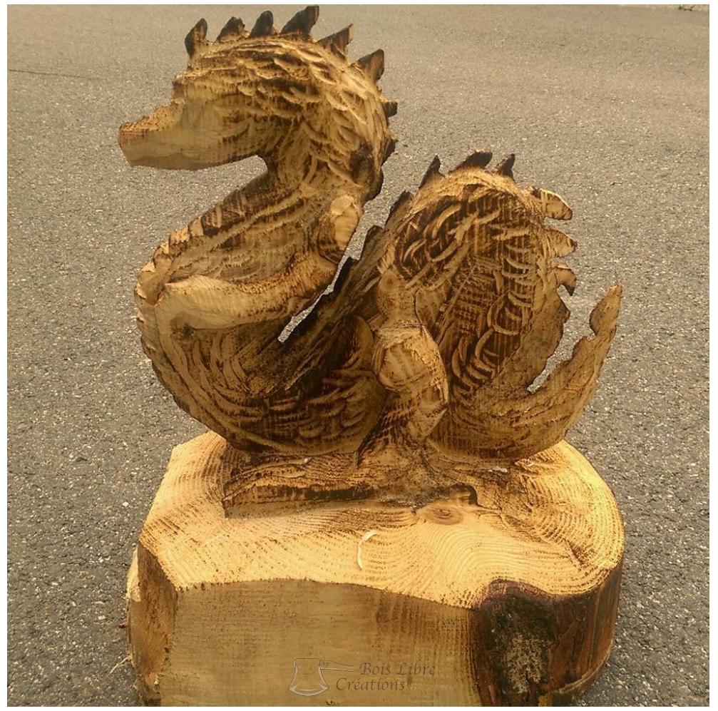 Yvan Freiholz Bois Libre Créations Sculptures Dragon (8)