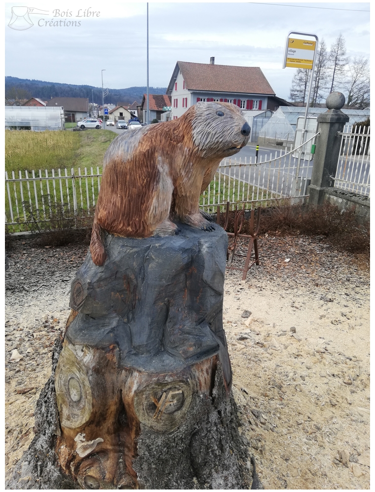 Yvan Freiholz Bois Libre Créations Sculptures Marmotte (7)