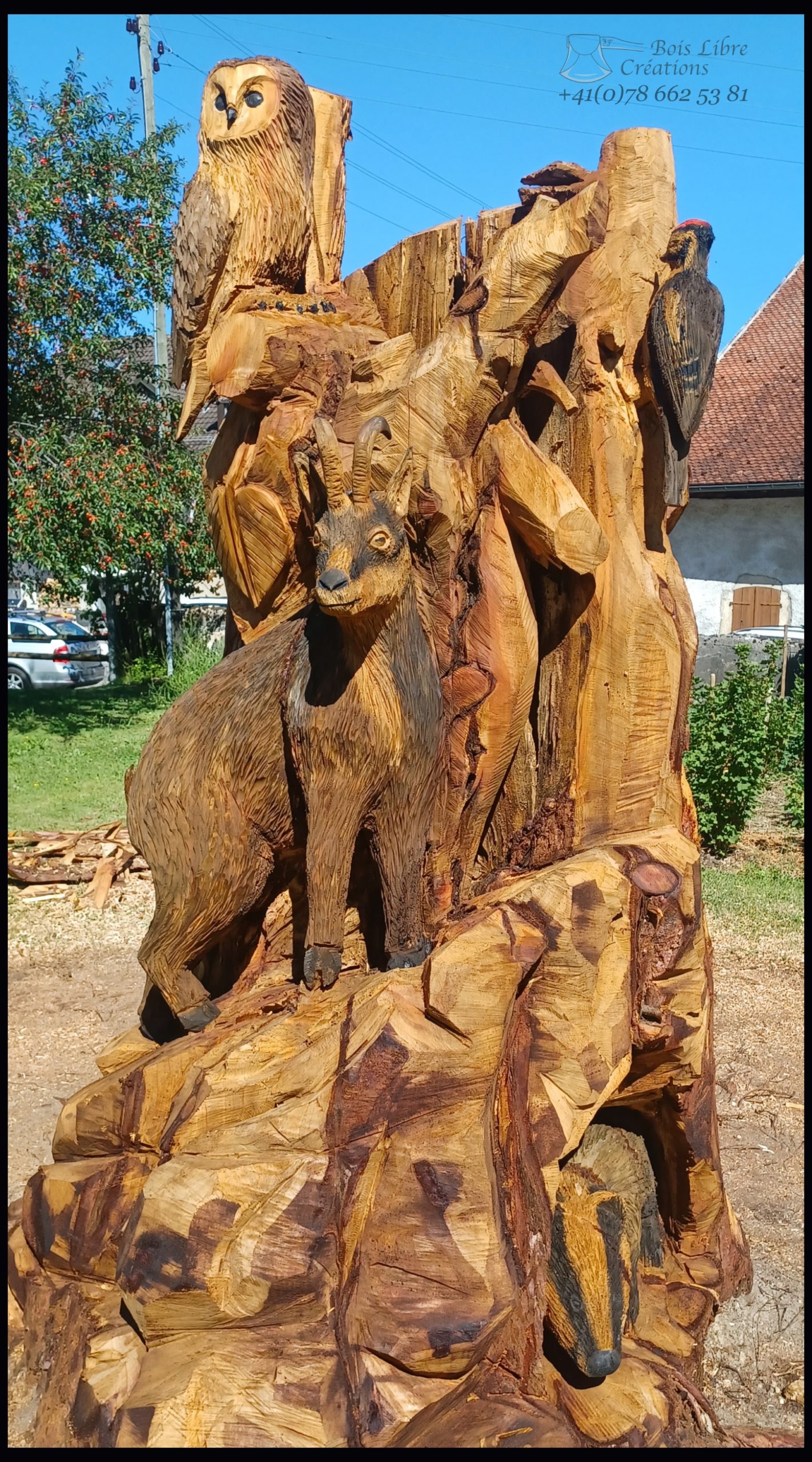 Yvan Freiholz Bois Libre Créations Sculpture à la tronçonneuse Bestiaire Agiez (16)