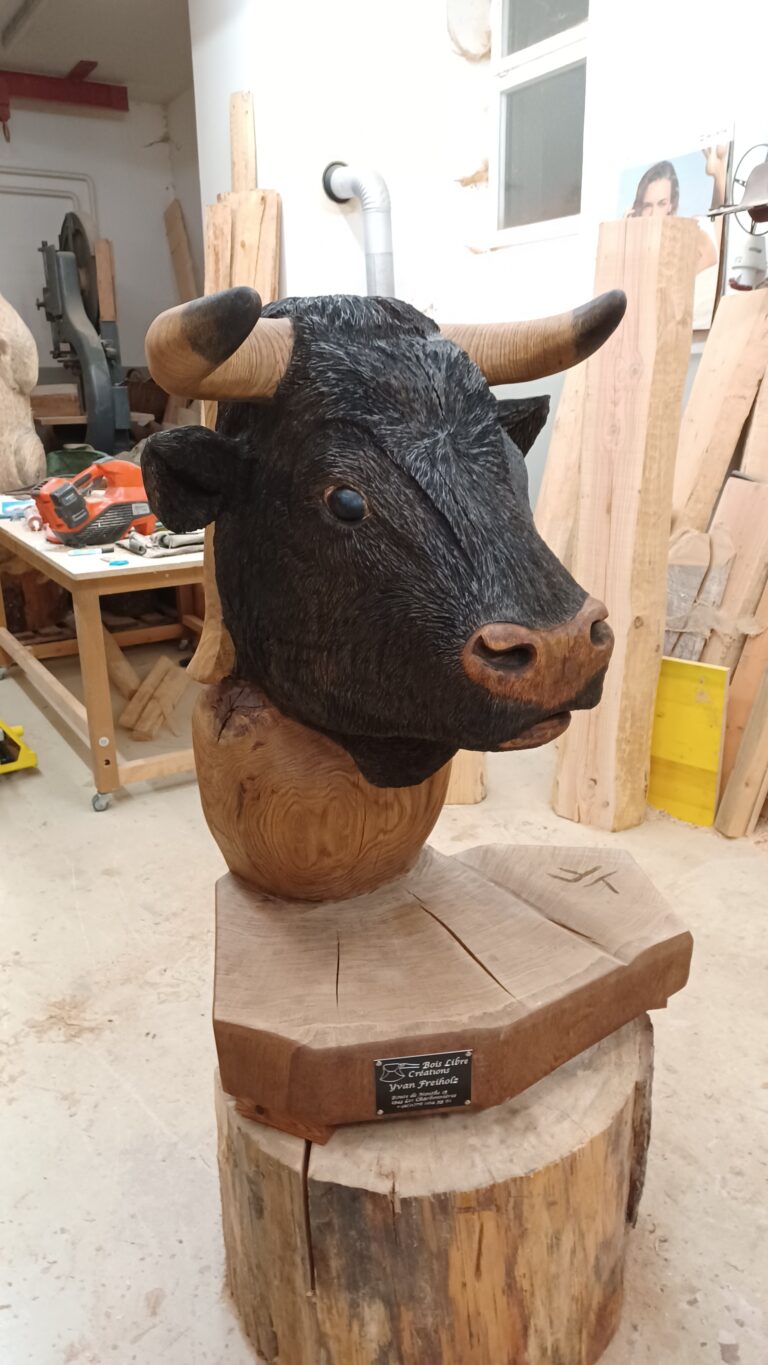 Vache d’Hérens « FREYJA »